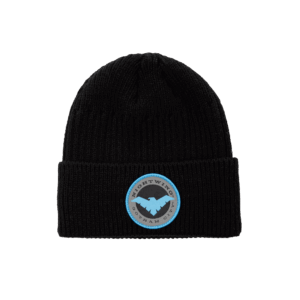 Nightwing Beanie