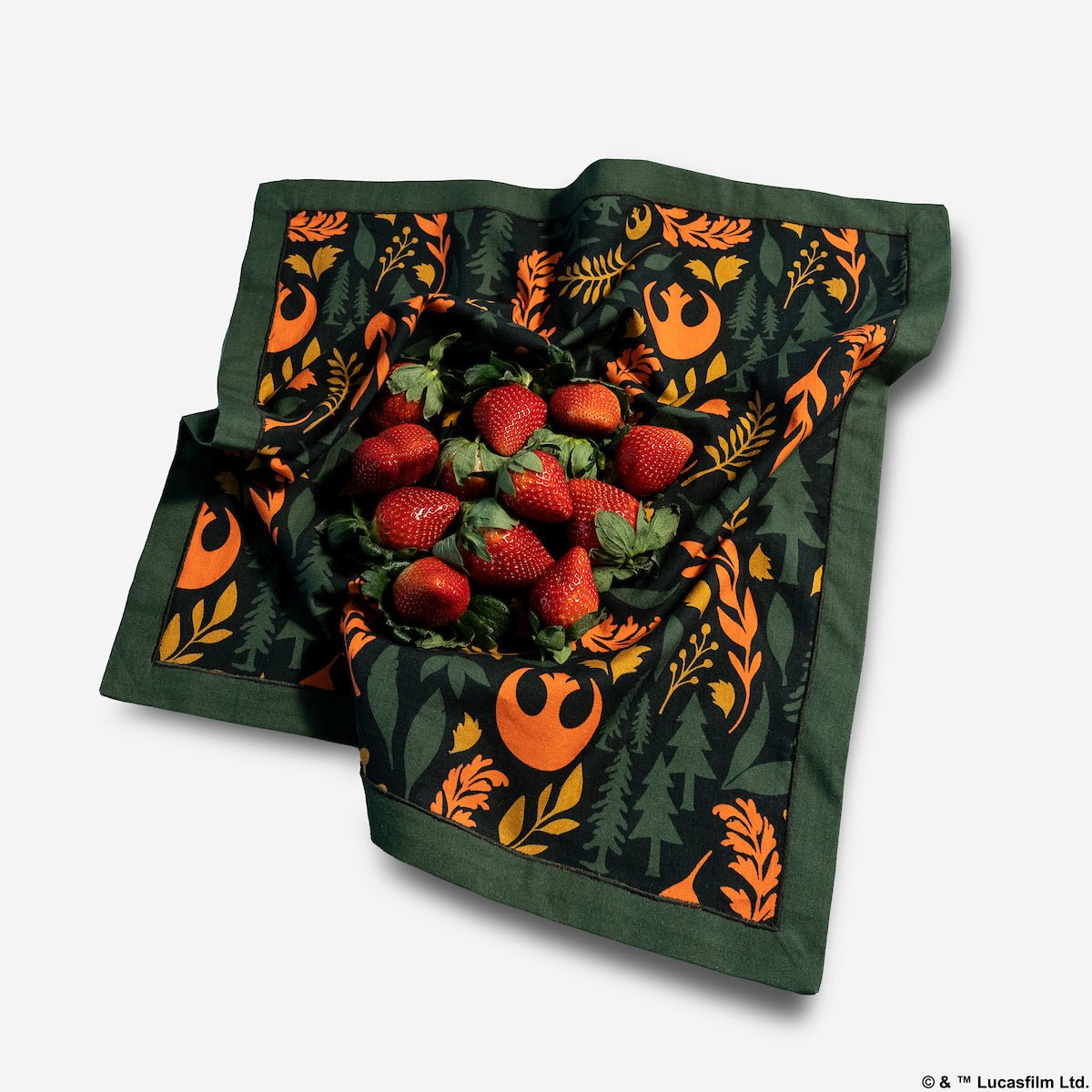 Endor Embroidered Cotton Napkin, Set of 4