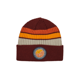 Vox Machina Retro Striped Beanie